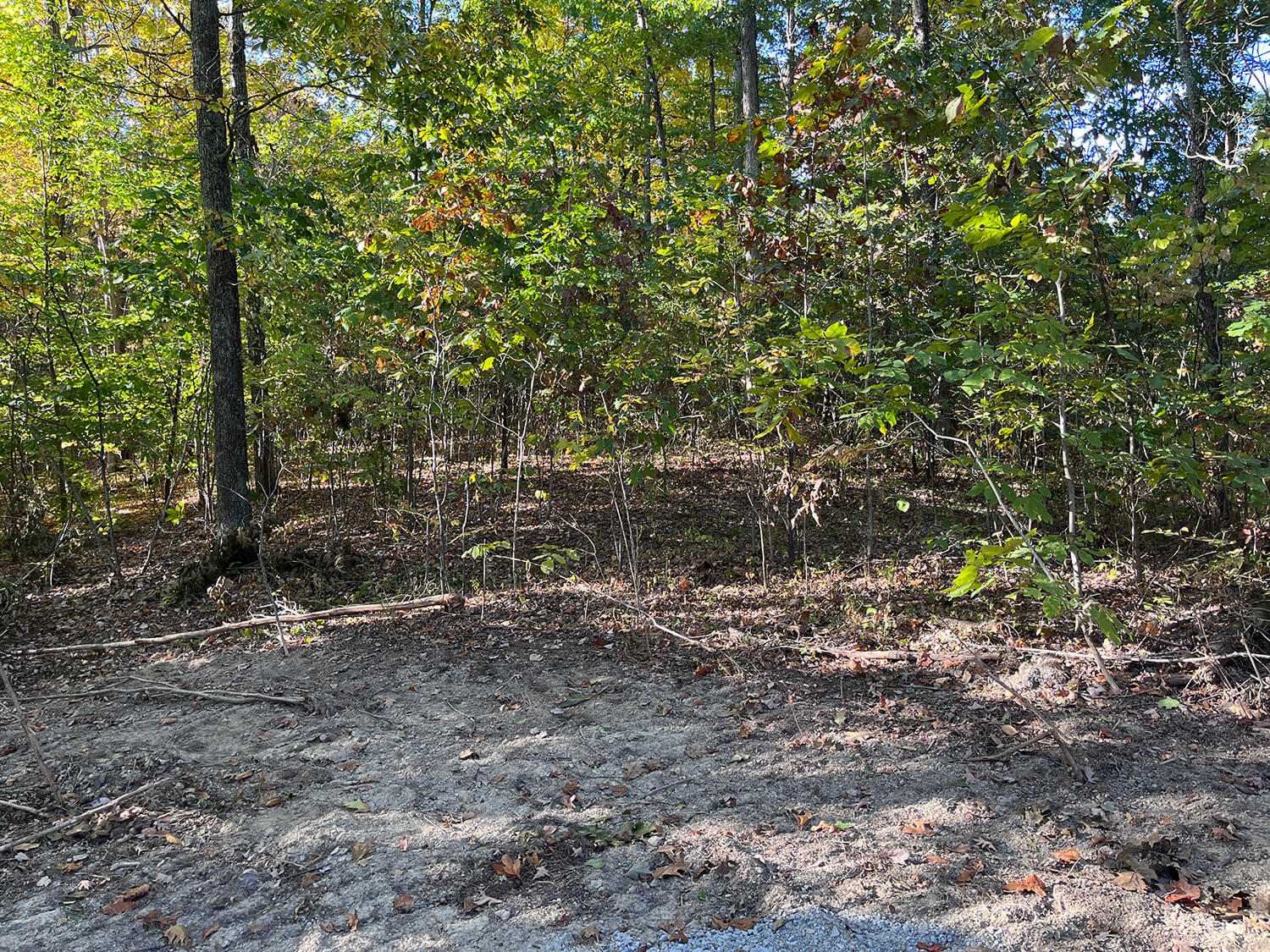 lowder fork farms 8-2