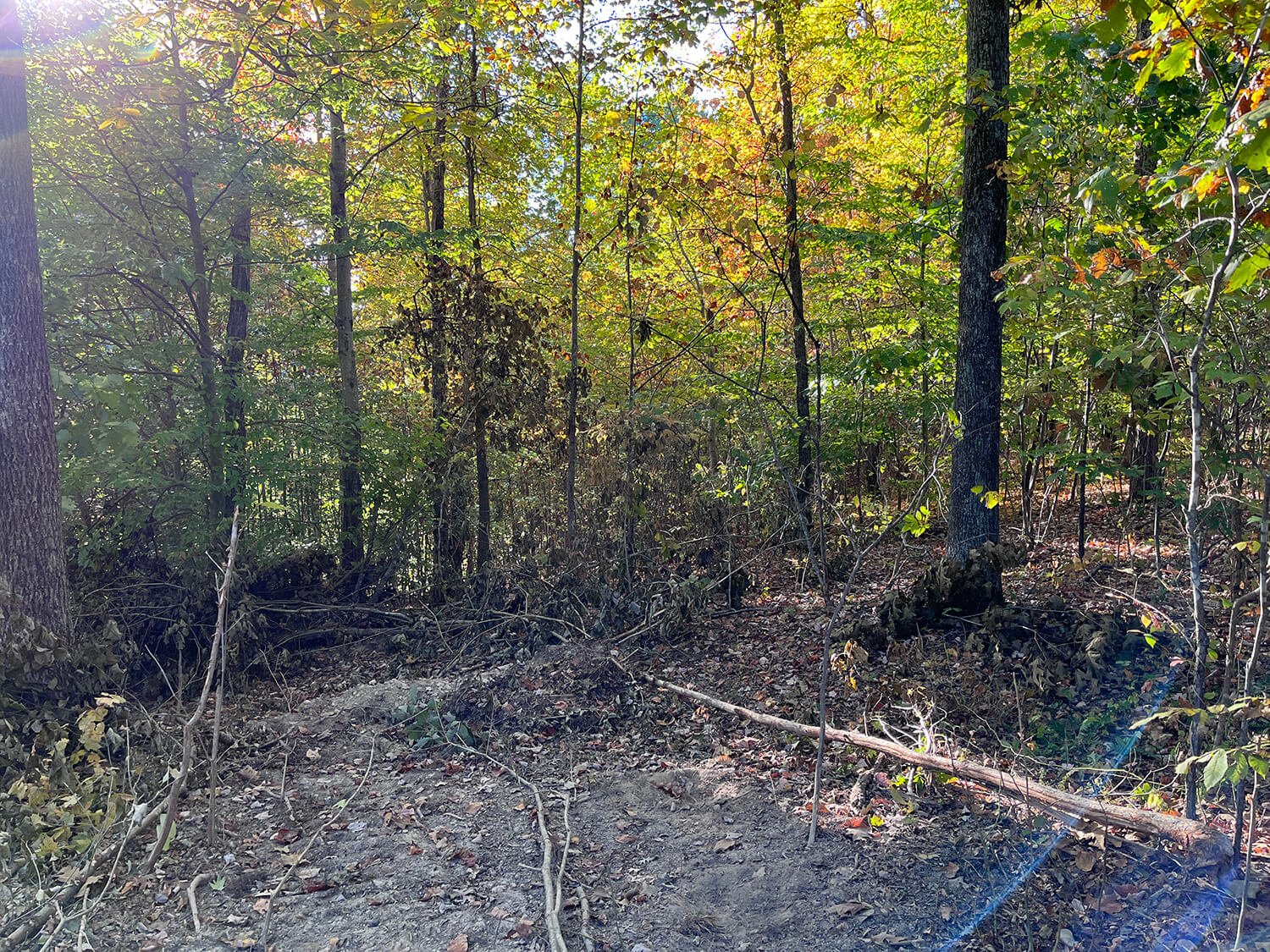 lowder fork farms 8-3