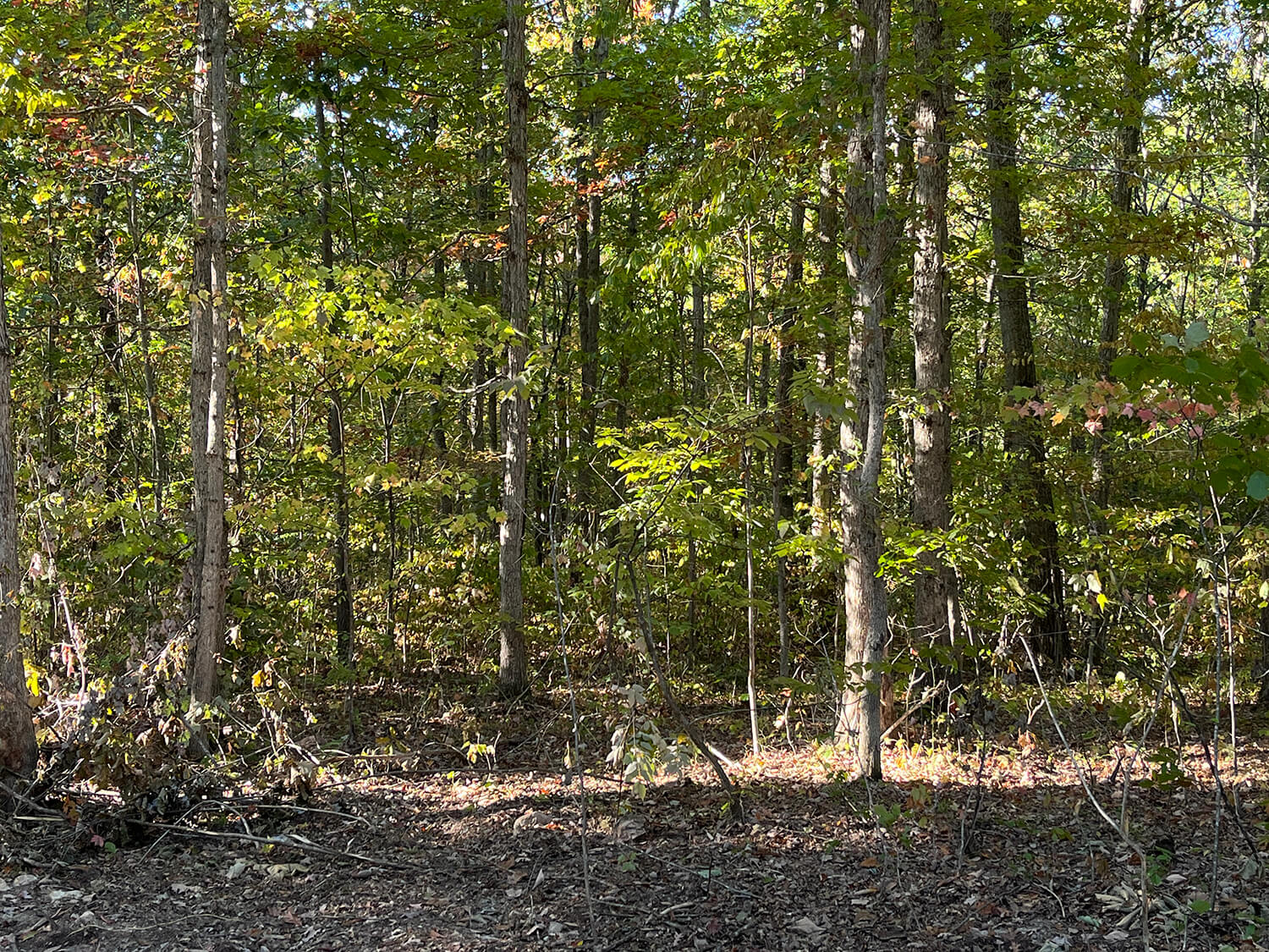 lowder fork farms 9-4