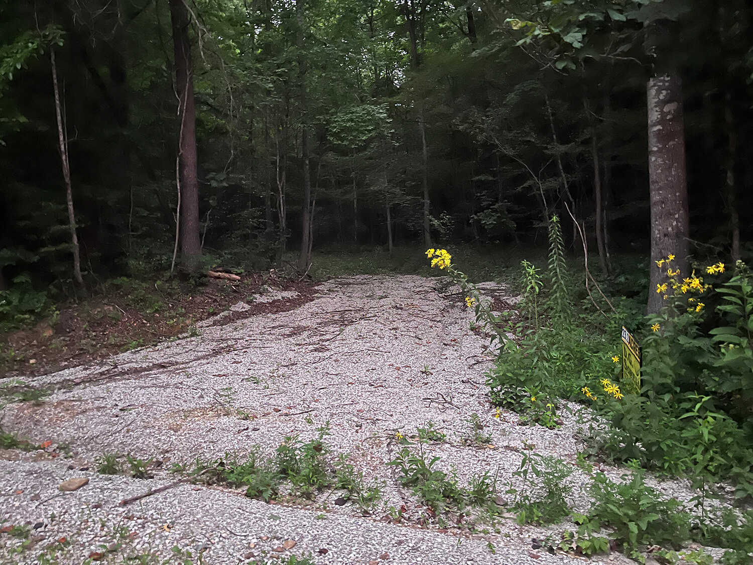 lowder fork farms tract 3-1