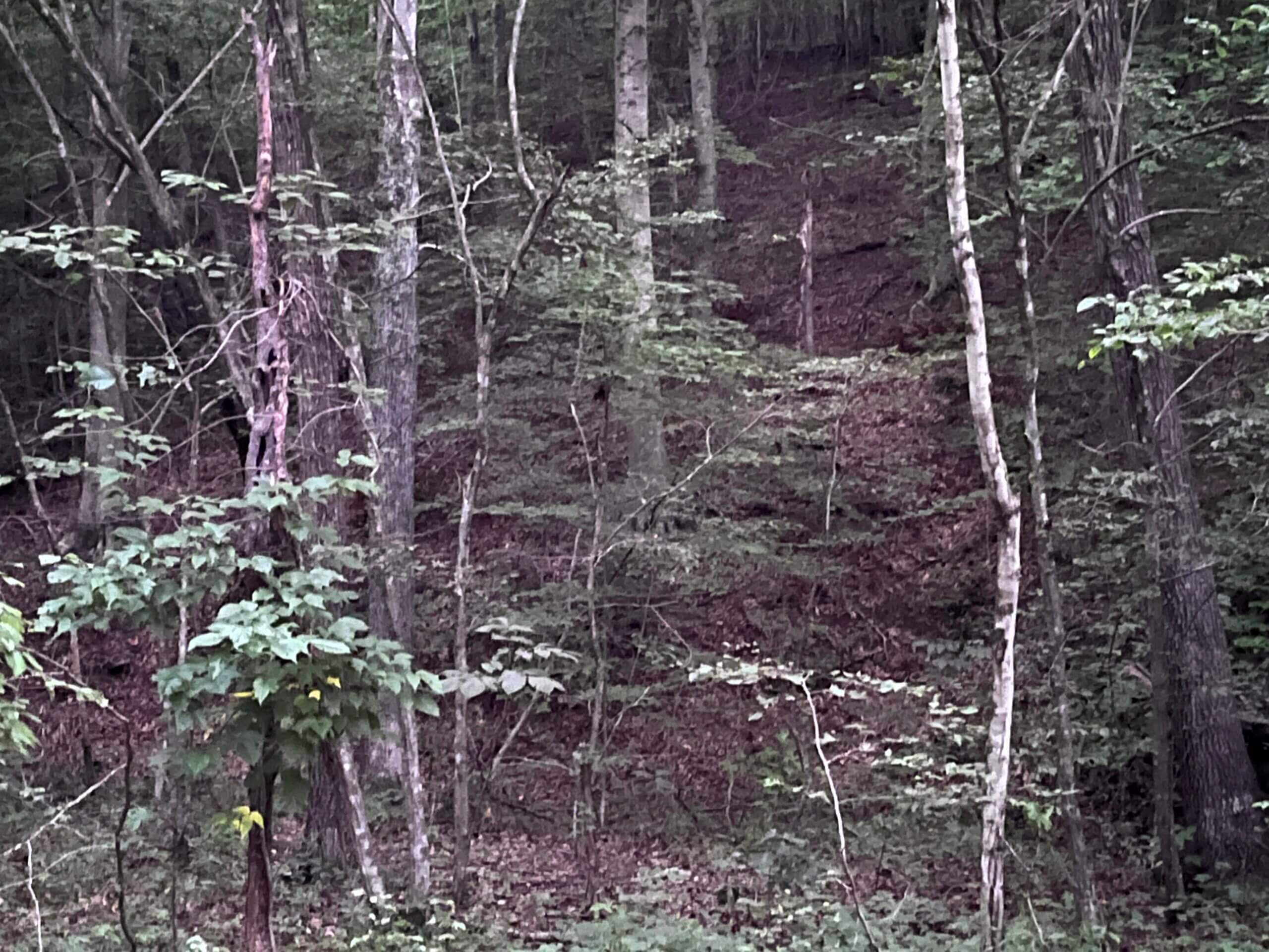 lowder fork farms tract 3-6