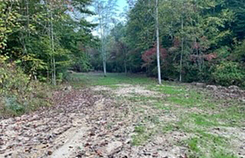 Wilber Hill Farms