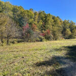 Stamper Branch Farms