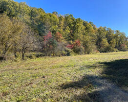Stamper Branch Farms
